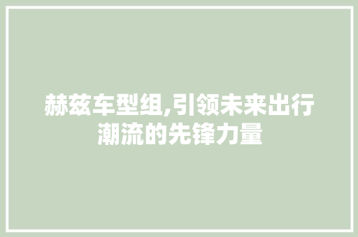 赫兹车型组,引领未来出行潮流的先锋力量