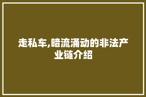 走私车,暗流涌动的非法产业链介绍 车灯配件