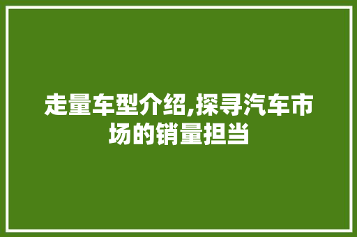 走量车型介绍,探寻汽车市场的销量担当