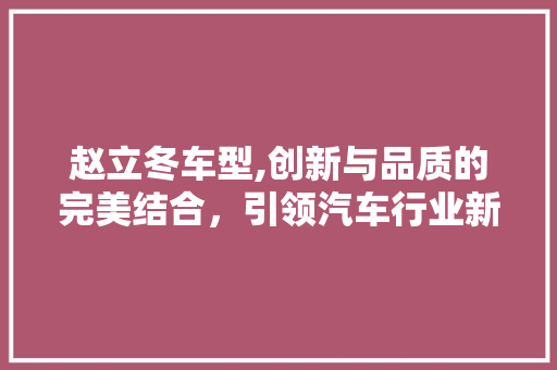 赵立冬车型,创新与品质的完美结合，引领汽车行业新潮流