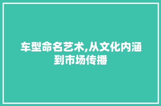 车型命名艺术,从文化内涵到市场传播