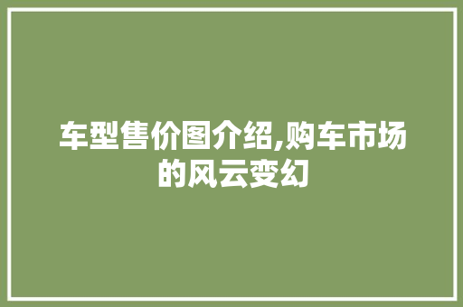 车型售价图介绍,购车市场的风云变幻
