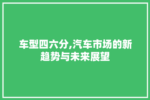 车型四六分,汽车市场的新趋势与未来展望