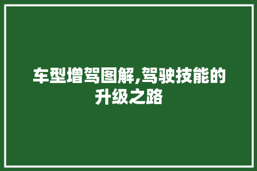 车型增驾图解,驾驶技能的升级之路