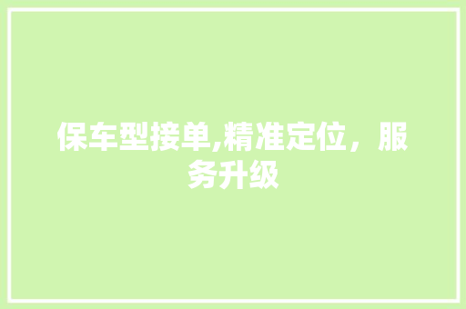 保车型接单,精准定位，服务升级