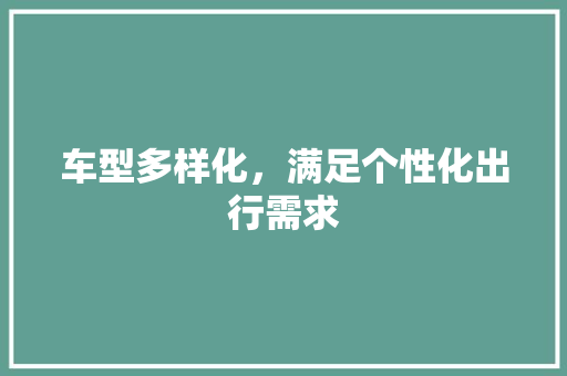车型多样化，满足个性化出行需求