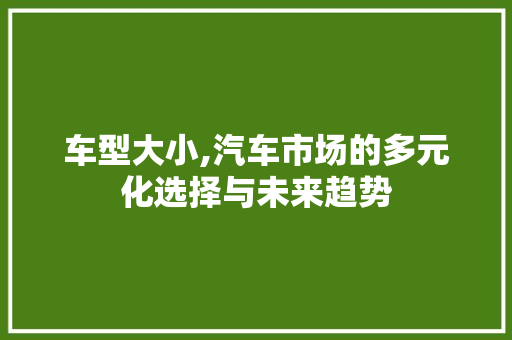 车型大小,汽车市场的多元化选择与未来趋势