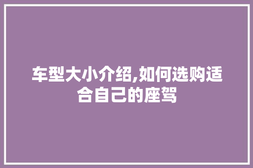 车型大小介绍,如何选购适合自己的座驾