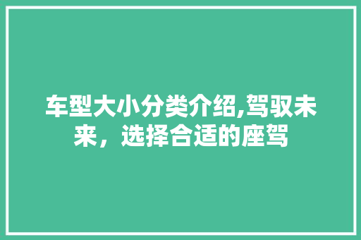车型大小分类介绍,驾驭未来，选择合适的座驾