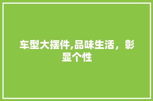 车型大摆件,品味生活，彰显个性