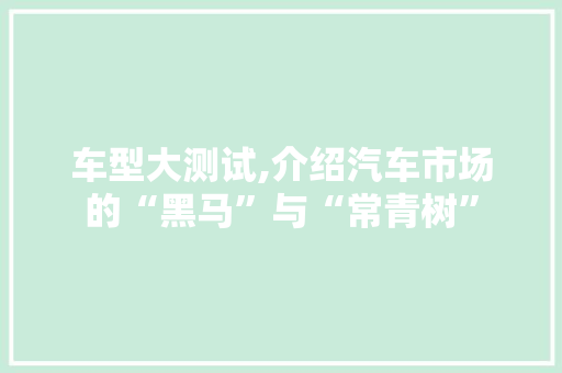车型大测试,介绍汽车市场的“黑马”与“常青树”