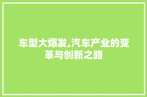 车型大爆发,汽车产业的变革与创新之路