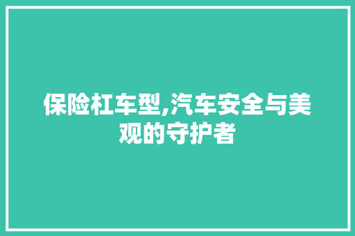 保险杠车型,汽车安全与美观的守护者