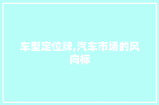 车型定位牌,汽车市场的风向标