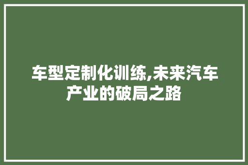 车型定制化训练,未来汽车产业的破局之路