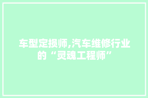 车型定损师,汽车维修行业的“灵魂工程师”