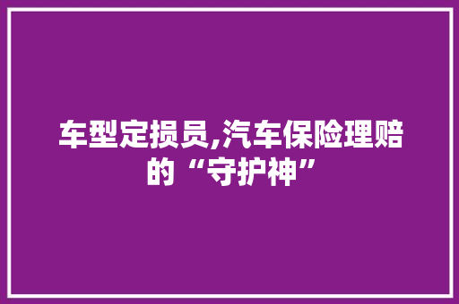 车型定损员,汽车保险理赔的“守护神”
