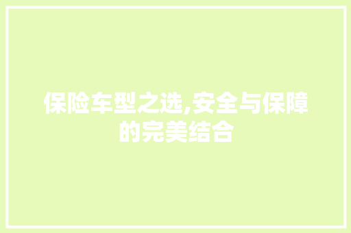 保险车型之选,安全与保障的完美结合