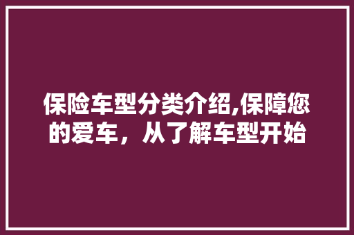 保险车型分类介绍,保障您的爱车，从了解车型开始