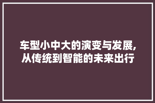 车型小中大的演变与发展,从传统到智能的未来出行