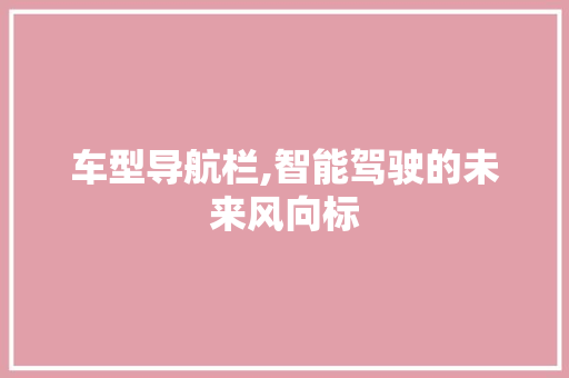 车型导航栏,智能驾驶的未来风向标
