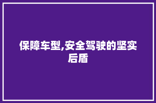 保障车型,安全驾驶的坚实后盾