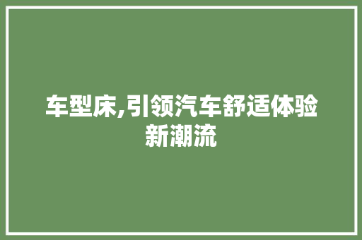 车型床,引领汽车舒适体验新潮流
