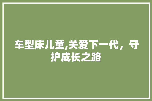 车型床儿童,关爱下一代，守护成长之路