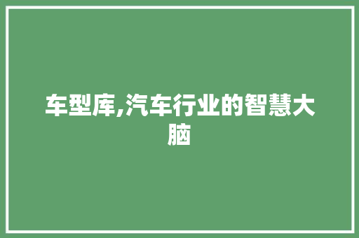 车型库,汽车行业的智慧大脑