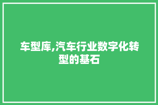 车型库,汽车行业数字化转型的基石