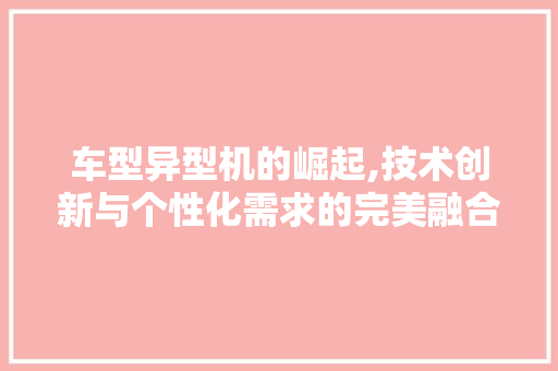 车型异型机的崛起,技术创新与个性化需求的完美融合