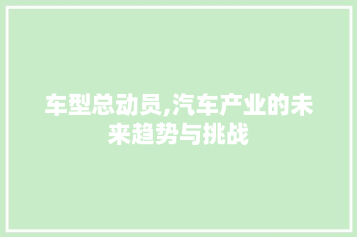 车型总动员,汽车产业的未来趋势与挑战