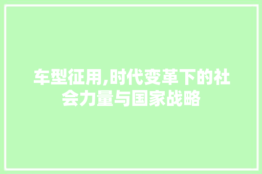 车型征用,时代变革下的社会力量与国家战略