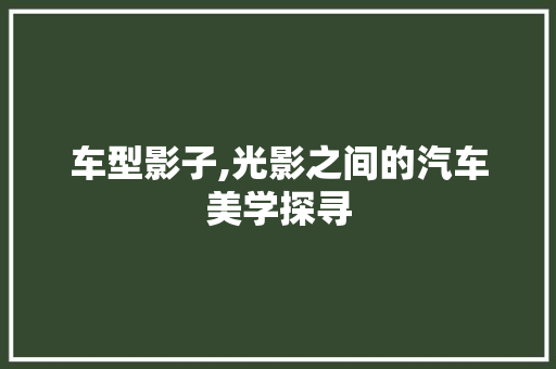 车型影子,光影之间的汽车美学探寻