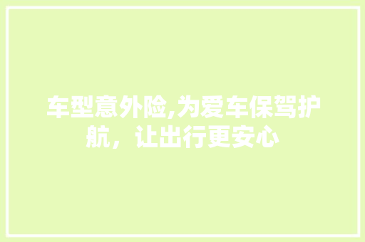 车型意外险,为爱车保驾护航，让出行更安心
