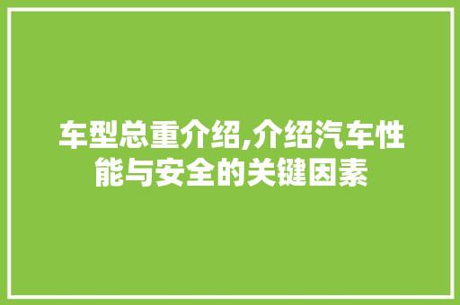车型总重介绍,介绍汽车性能与安全的关键因素