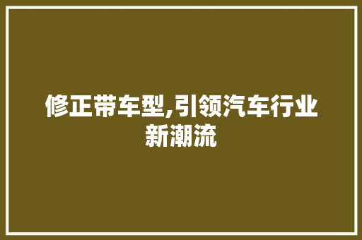 修正带车型,引领汽车行业新潮流