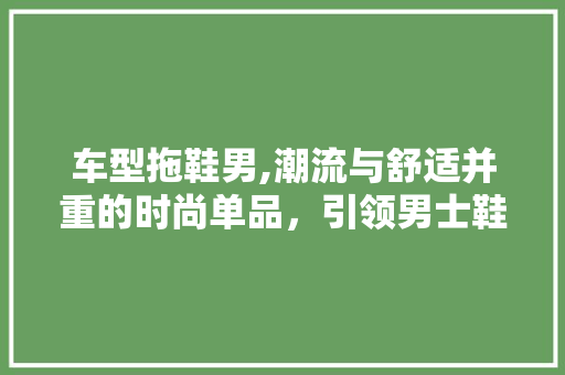 车型拖鞋男,潮流与舒适并重的时尚单品，引领男士鞋履新潮流