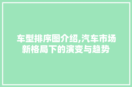 车型排序图介绍,汽车市场新格局下的演变与趋势