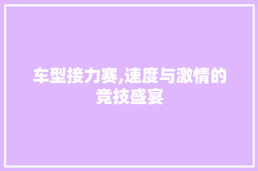 车型接力赛,速度与激情的竞技盛宴
