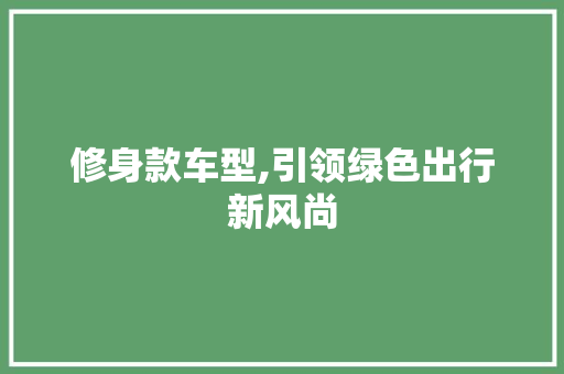 修身款车型,引领绿色出行新风尚