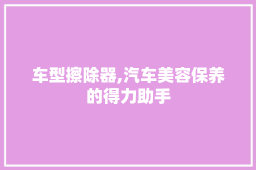 车型擦除器,汽车美容保养的得力助手