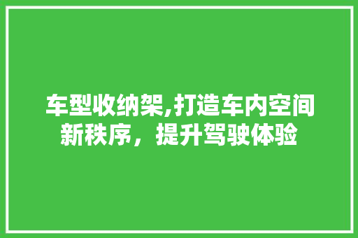 车型收纳架,打造车内空间新秩序，提升驾驶体验