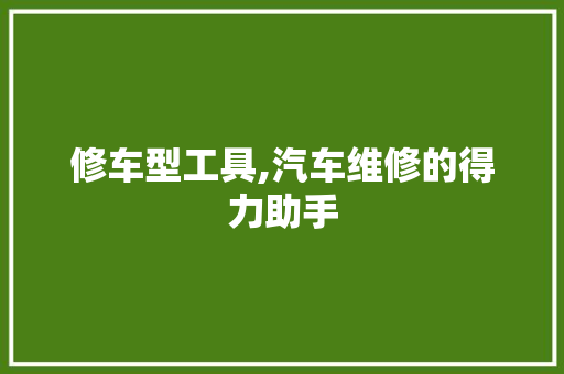 修车型工具,汽车维修的得力助手