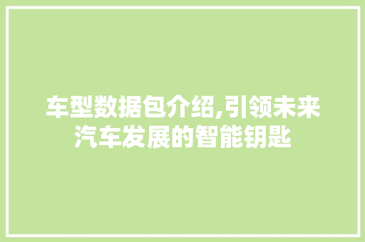 车型数据包介绍,引领未来汽车发展的智能钥匙