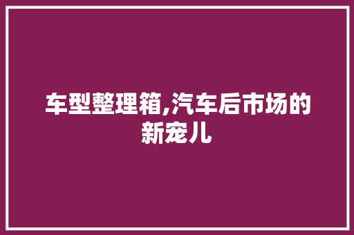 车型整理箱,汽车后市场的新宠儿