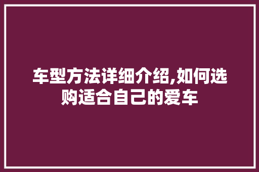 车型方法详细介绍,如何选购适合自己的爱车