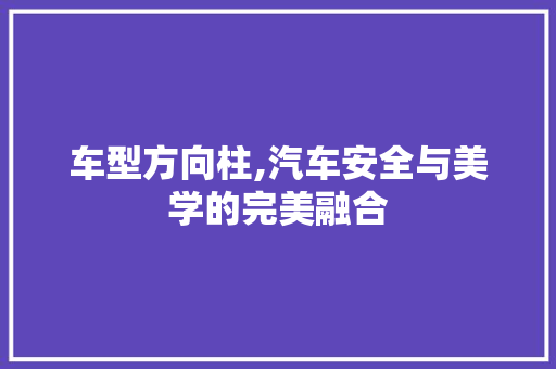 车型方向柱,汽车安全与美学的完美融合