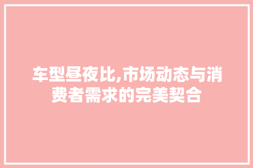 车型昼夜比,市场动态与消费者需求的完美契合