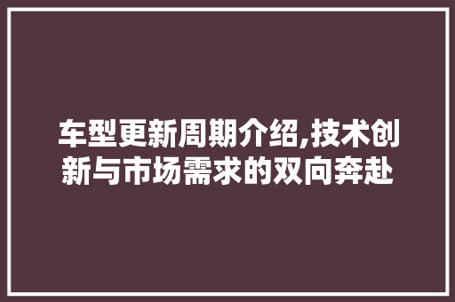 车型更新周期介绍,技术创新与市场需求的双向奔赴